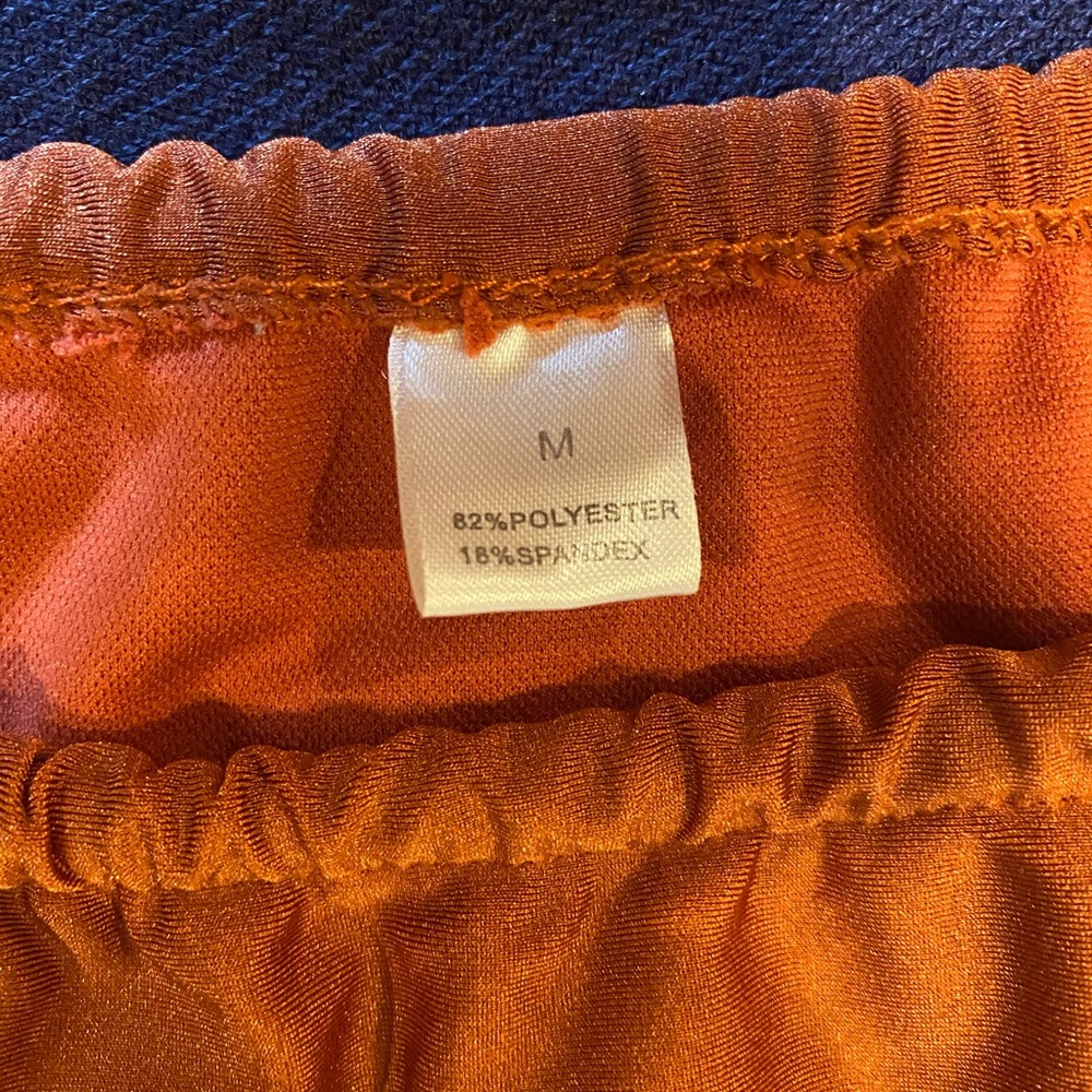 Rust Bikini - image 3